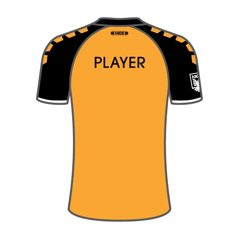 steelhawks jersey back